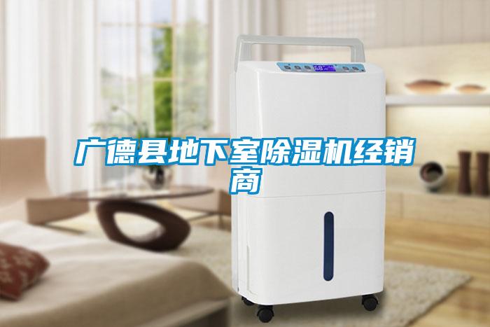 廣德縣地下室除濕機(jī)經(jīng)銷商