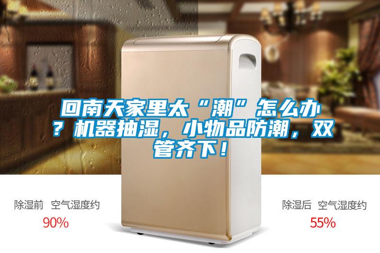 回南天家里太“潮”怎么辦？機(jī)器抽濕，小物品防潮，雙管齊下！