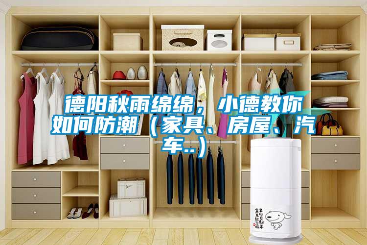 德陽秋雨綿綿，小德教你如何防潮（家具、房屋、汽車..）