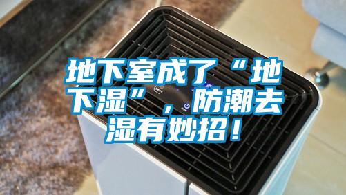 地下室成了“地下濕”，防潮去濕有妙招！