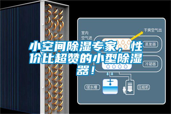 小空間除濕專家，性價比超贊的小型除濕器！