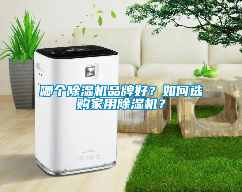 哪個(gè)除濕機(jī)品牌好？如何選購家用除濕機(jī)？