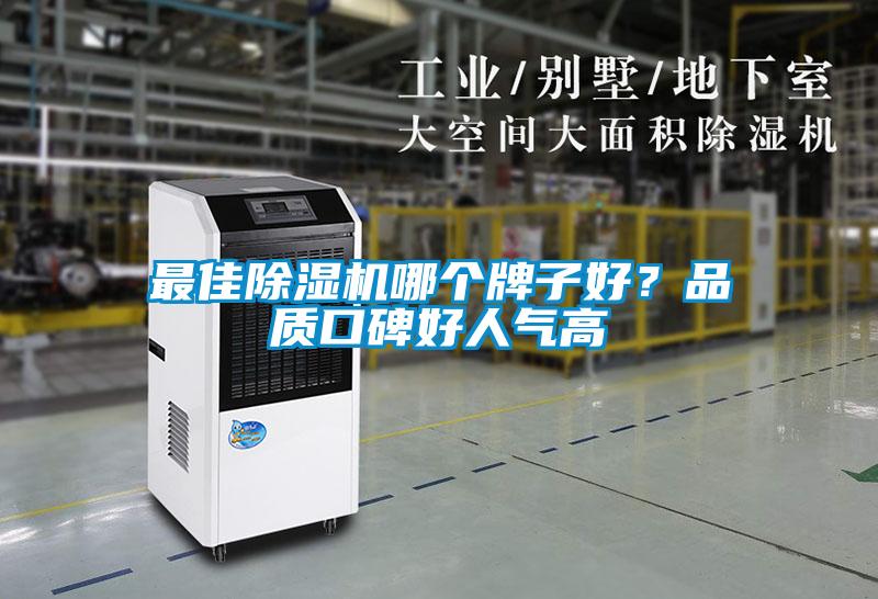 最佳除濕機哪個牌子好？品質口碑好人氣高