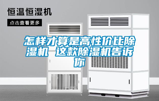 怎樣才算是高性價(jià)比除濕機(jī) 這款除濕機(jī)告訴你