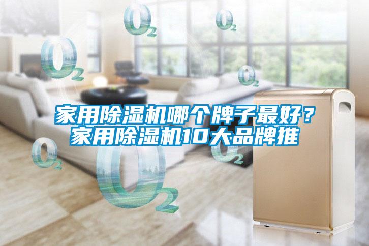 家用除濕機哪個牌子最好？家用除濕機10大品牌推
