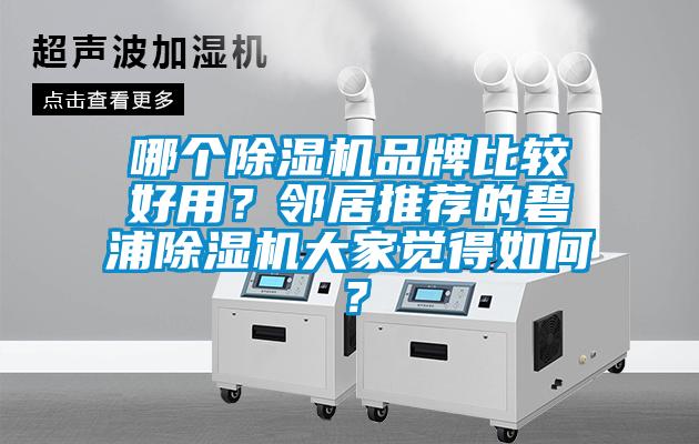 哪個(gè)除濕機(jī)品牌比較好用？鄰居推薦的碧浦除濕機(jī)大家覺得如何？