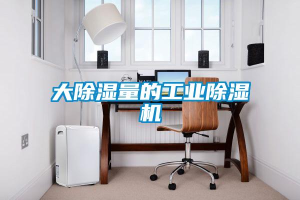 大除濕量的工業(yè)除濕機(jī)