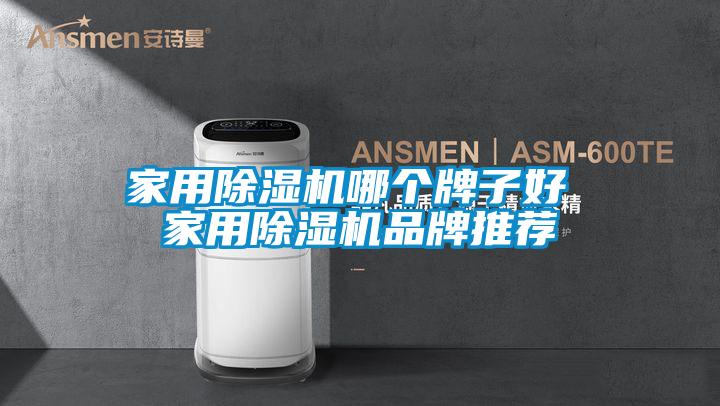 家用除濕機(jī)哪個(gè)牌子好 家用除濕機(jī)品牌推薦