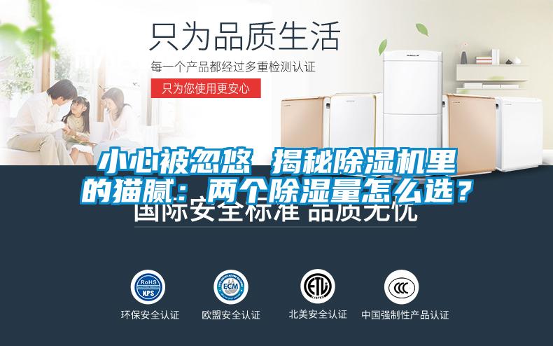 小心被忽悠 揭秘除濕機(jī)里的貓膩：兩個(gè)除濕量怎么選？