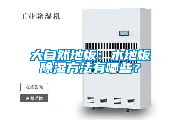 大自然地板：木地板除濕方法有哪些？