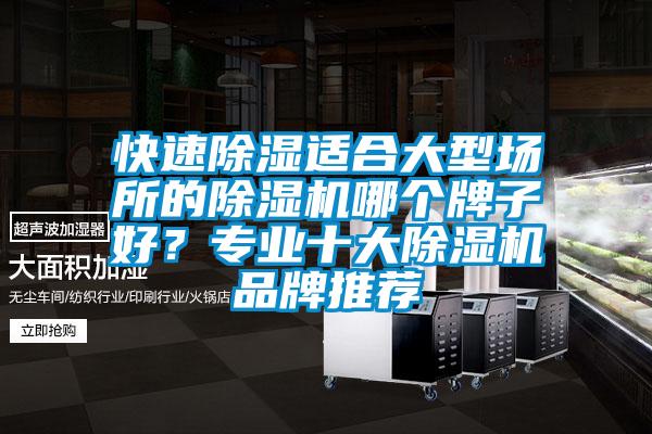 快速除濕適合大型場所的除濕機哪個牌子好？專業(yè)十大除濕機品牌推薦