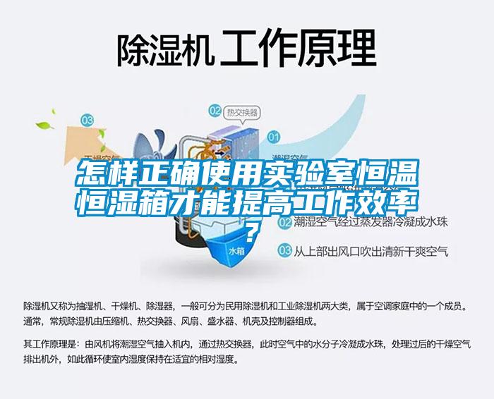 怎樣正確使用實(shí)驗(yàn)室恒溫恒濕箱才能提高工作效率？