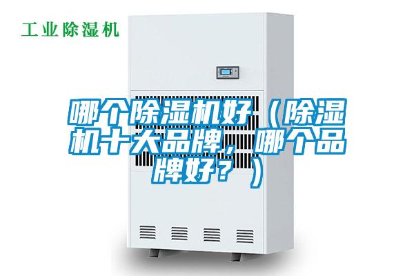 哪個(gè)除濕機(jī)好（除濕機(jī)十大品牌，哪個(gè)品牌好？）