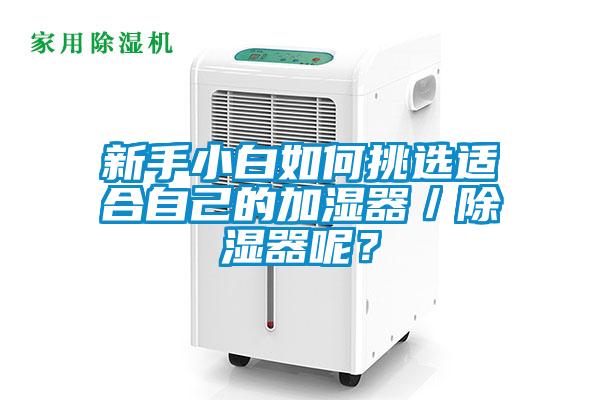 新手小白如何挑選適合自己的加濕器／除濕器呢？