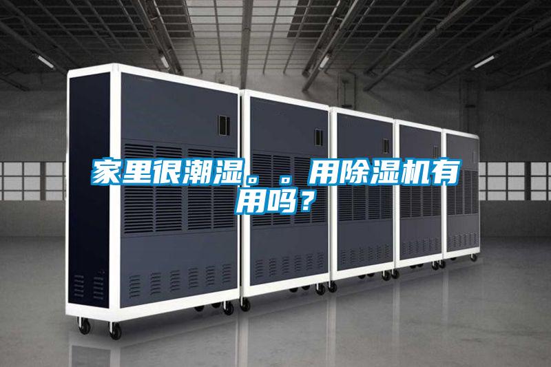 家里很潮濕。。用除濕機有用嗎？