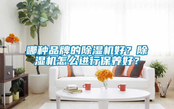 哪種品牌的除濕機(jī)好？除濕機(jī)怎么進(jìn)行保養(yǎng)好？