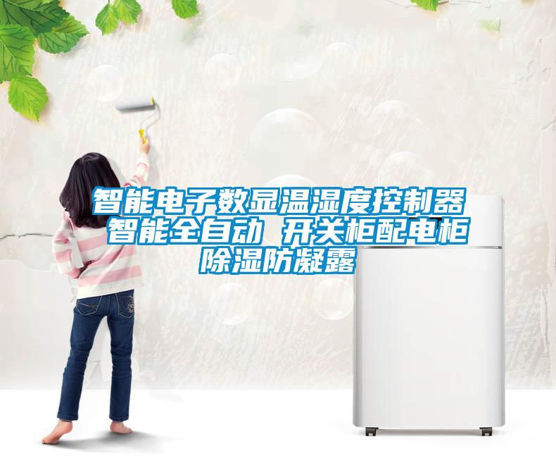 智能電子數(shù)顯溫濕度控制器 智能全自動(dòng) 開(kāi)關(guān)柜配電柜除濕防凝露
