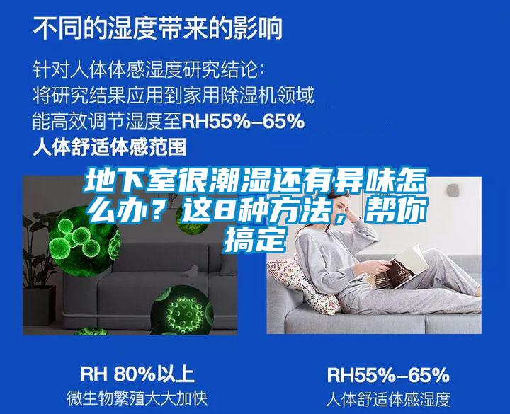 地下室很潮濕還有異味怎么辦？這8種方法，幫你搞定