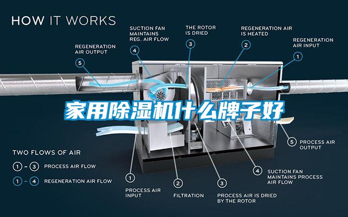 家用除濕機(jī)什么牌子好