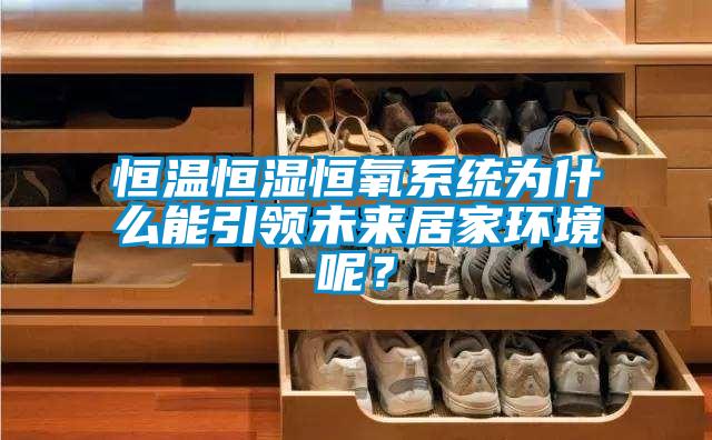 恒溫恒濕恒氧系統(tǒng)為什么能引領(lǐng)未來居家環(huán)境呢？
