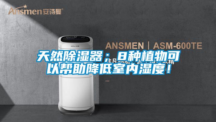 天然除濕器；8種植物可以幫助降低室內(nèi)濕度！