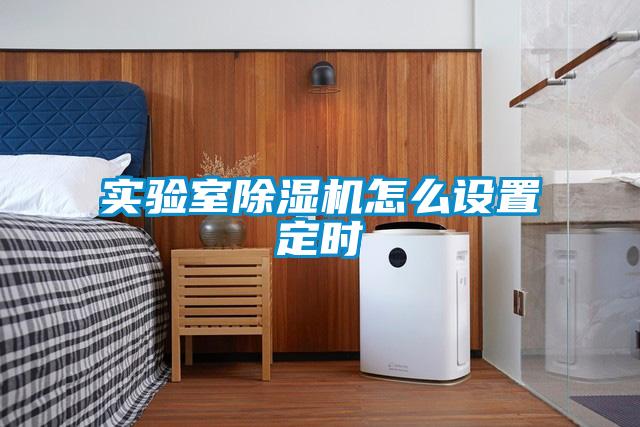 實驗室除濕機(jī)怎么設(shè)置定時