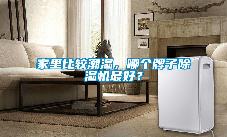 家里比較潮濕，哪個牌子除濕機最好？