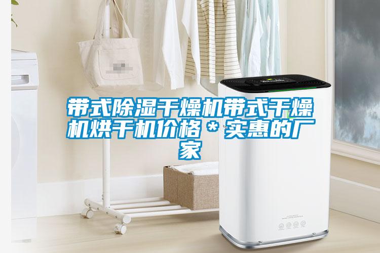 帶式除濕干燥機(jī)帶式干燥機(jī)烘干機(jī)價格＊實(shí)惠的廠家
