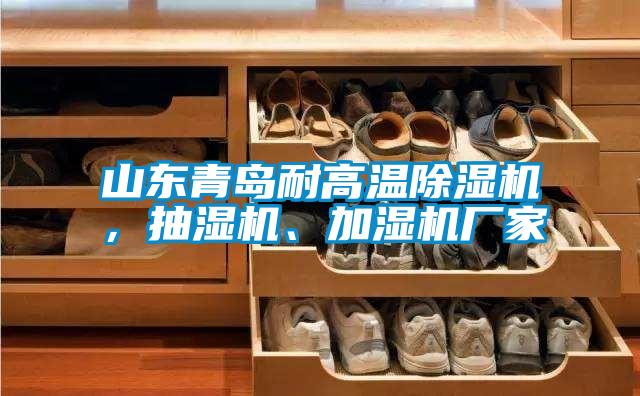 山東青島耐高溫除濕機，抽濕機、加濕機廠家