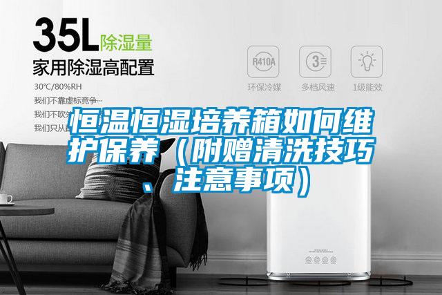 恒溫恒濕培養(yǎng)箱如何維護(hù)保養(yǎng)（附贈清洗技巧、注意事項）