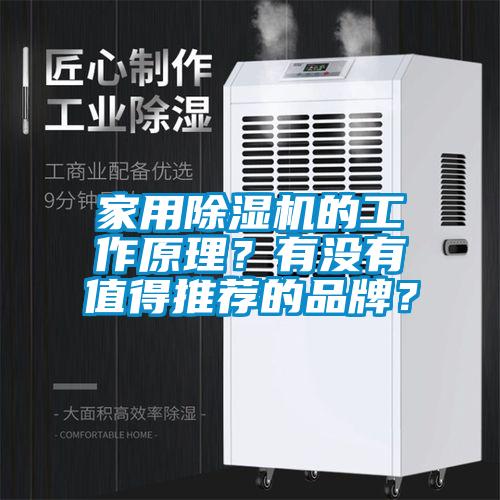 家用除濕機的工作原理？有沒有值得推薦的品牌？