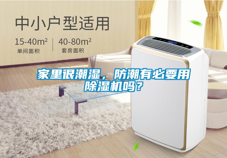 家里很潮濕，防潮有必要用除濕機嗎？