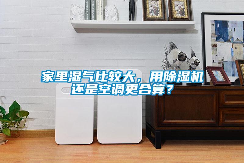 家里濕氣比較大，用除濕機還是空調更合算？