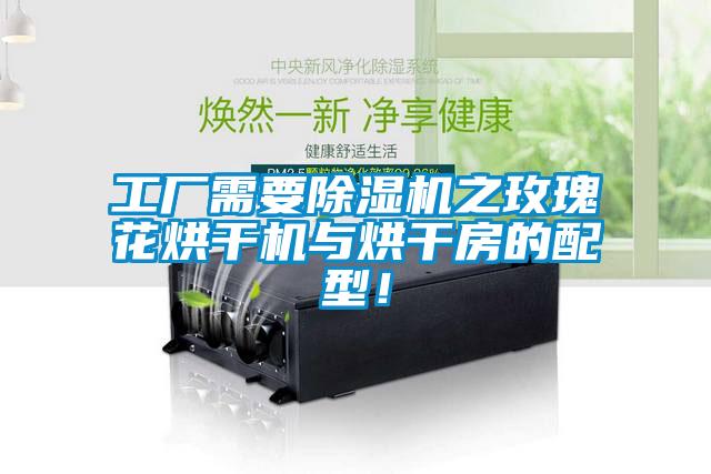 工廠需要除濕機(jī)之玫瑰花烘干機(jī)與烘干房的配型！