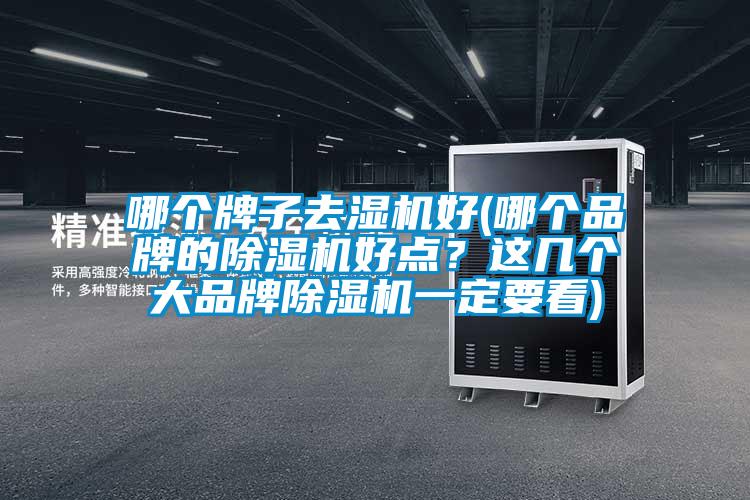 哪個牌子去濕機好(哪個品牌的除濕機好點？這幾個大品牌除濕機一定要看)