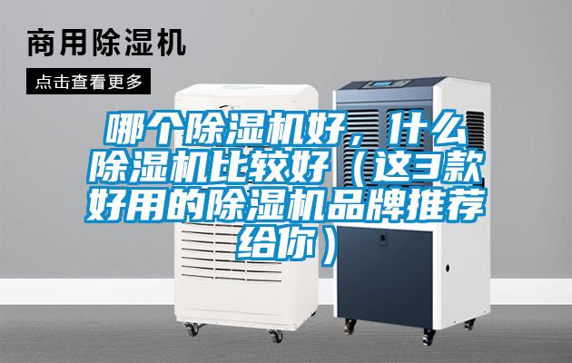 哪個(gè)除濕機(jī)好，什么除濕機(jī)比較好（這3款好用的除濕機(jī)品牌推薦給你）