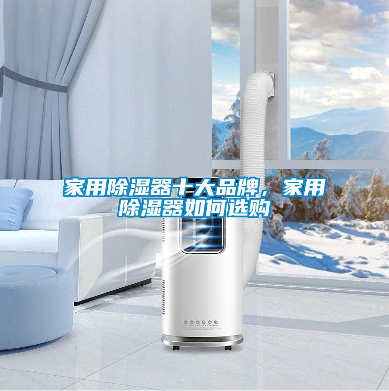 家用除濕器十大品牌，家用除濕器如何選購(gòu)