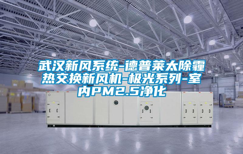 武漢新風(fēng)系統(tǒng)-德普萊太除霾熱交換新風(fēng)機-極光系列-室內(nèi)PM2.5凈化