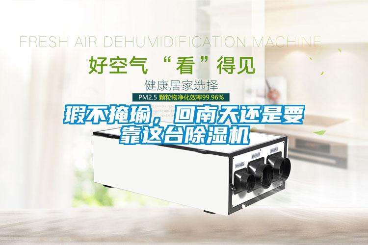 瑕不掩瑜，回南天還是要靠這臺除濕機