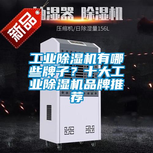 工業(yè)除濕機(jī)有哪些牌子？十大工業(yè)除濕機(jī)品牌推薦