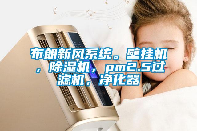 布朗新風系統(tǒng)。壁掛機，除濕機，pm2.5過濾機，凈化器