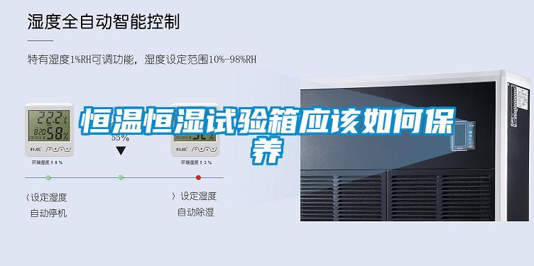 恒溫恒濕試驗箱應(yīng)該如何保養(yǎng)