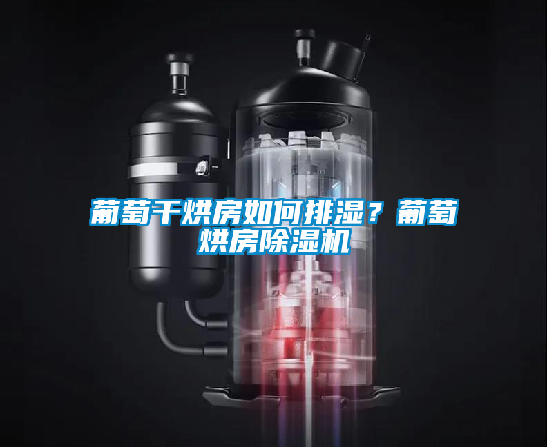 葡萄干烘房如何排濕？葡萄烘房除濕機(jī)