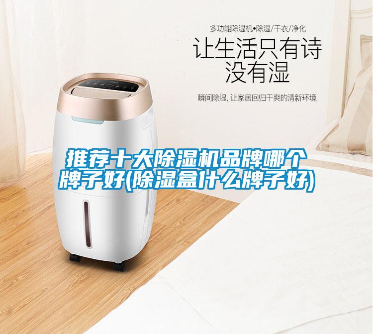 推薦十大除濕機(jī)品牌哪個牌子好(除濕盒什么牌子好)