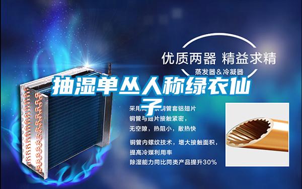 抽濕單叢人稱(chēng)綠衣仙子