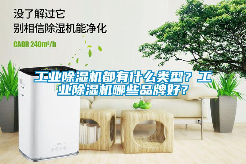 工業(yè)除濕機(jī)都有什么類型？工業(yè)除濕機(jī)哪些品牌好？