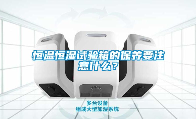 恒溫恒濕試驗(yàn)箱的保養(yǎng)要注意什么？