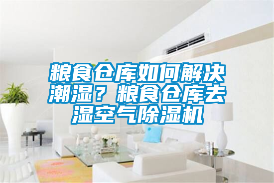 糧食倉(cāng)庫(kù)如何解決潮濕？糧食倉(cāng)庫(kù)去濕空氣除濕機(jī)