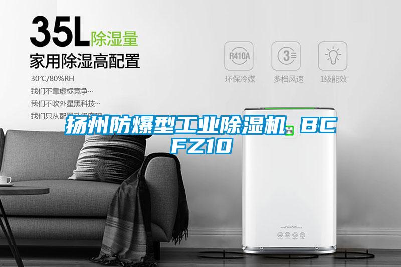 揚(yáng)州防爆型工業(yè)除濕機(jī) BCFZ10