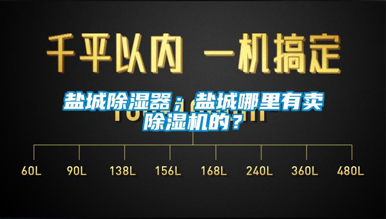 鹽城除濕器；鹽城哪里有賣除濕機的？